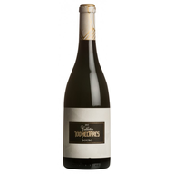 100 Hectares Collection Tinto