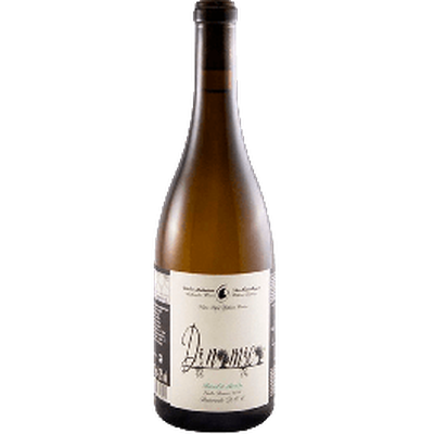 Filipa Pato Dinamica  Branco