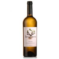 Terra A Terra Reserva - Douro Branco