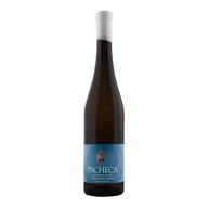 Pacheca Sauvignon Branco