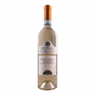 Bottega Pinot Grigio Branco