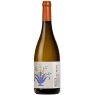 Vinnho Varzea Da Pedra Sauvignon White