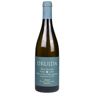 Druida Encruzado Vinha Da Pedra Azul Branco