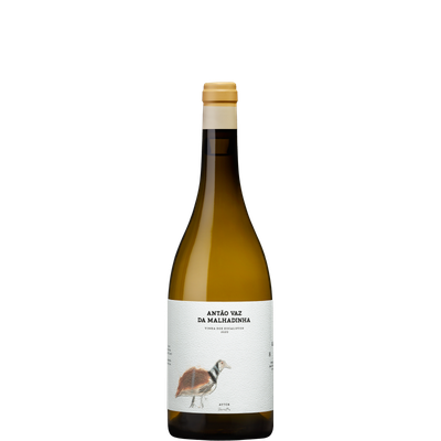 Antão Vaz da Malhadinha - Vinha dos Eucaliptos  Branco