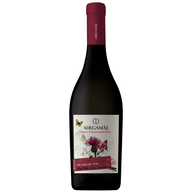 Adega Mãe And Regenerative Tinto