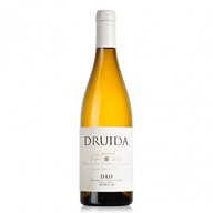 Druida Dao White