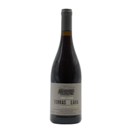 Pico Wines Terras De Lava Syrah Tinto