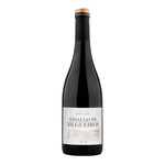 Fidalgo de Silgueiros