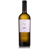 Anel - Marcio Lopes White