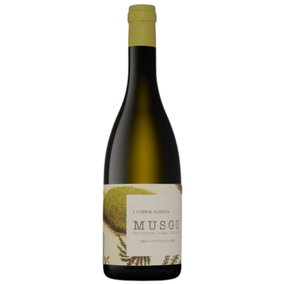 Musgo Encruzado  Branco