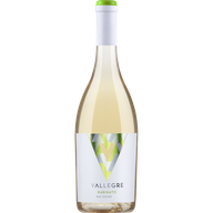 Vallegre Rabigato Tinto