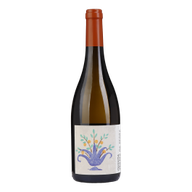 Quinta Várzea Da Pedra Sauvignon Branco