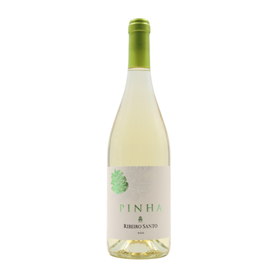 Pinha do Ribeiro Santo  Branco
