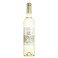Conto Sauvignon Branco
