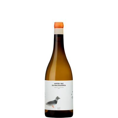 Antão Vaz da Malhadinha - Vinha da Peceguina  Branco