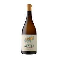 Ponte Da Barca Loureiro Acácia Sobre Lias Branco