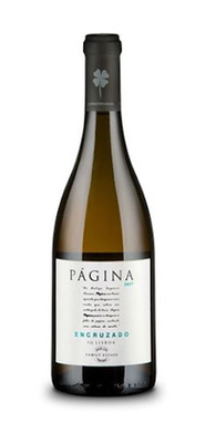 Página Encruzado  Branco