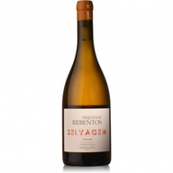 Verde Pequenos Rebentos Selvagem Azal White