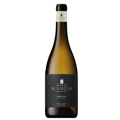 Alameda de Santar Encruzado  Branco