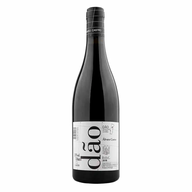 Álvaro Castro Tinto