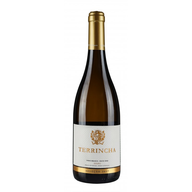 Quinta Da Terrincha Seleção White