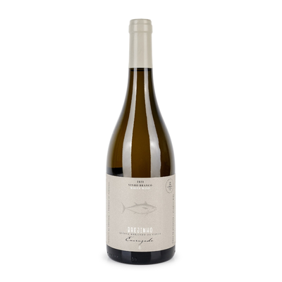 Brejinho da Costa Encruzado  Branco