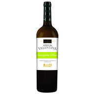 Vinha Da Valentina Sauvignon Península Setúbal Branco