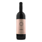 Rui Roboredo Madeira Vinhas Antigas da Beira Interior