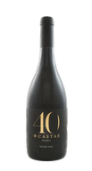 40 Castas Reserva Xvii 17º Tinto