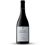 António Saramago Superior - Setúbal