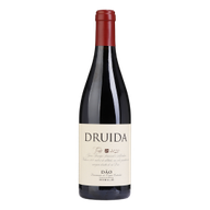Druida Tinto