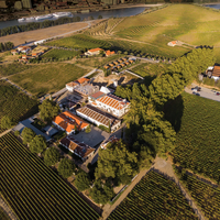 Quinta da Murta