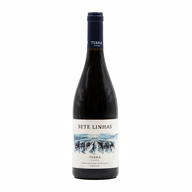 Terra D'Alter Sete Linhas Alicante Bouschet Red