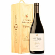 António Saramago Superior - Setúbal Red