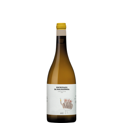 Encruzado da Malhadinha - Vinha da Olival  Branco
