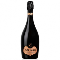 Espumante Colinas Cuvee Reserve De Pinots Sparkling