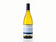 Vicentino Sauvignon Alentejo White