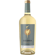 Ciconia Premium Alentejano Branco