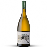 Vinhas Improvaveis Intro White