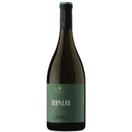 Paulo Laureano Verdelho Branco