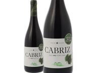 Cabriz Dão Biológico Red