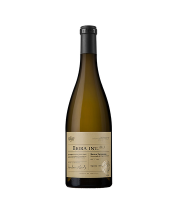 Anselmo Mendes  Branco