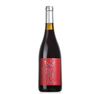 João Tavares De Pina Mencia - Dão Natural