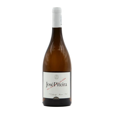 José Piteira  Branco