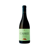 Cabriz Reserva Dão Branco