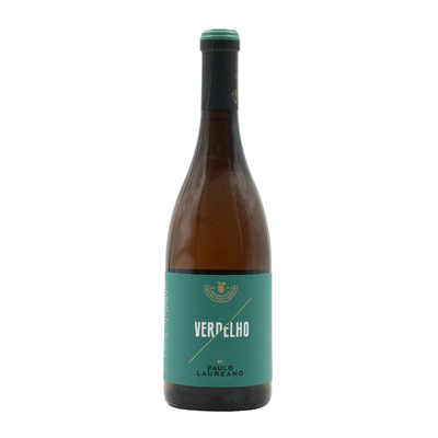Paulo Laureano Verdelho  Branco