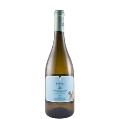 Terras Madre de Água  Tinto