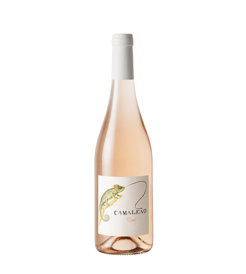 Camaleão  Rosé