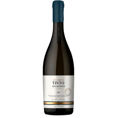 Adega Mae Atlantico Pinot Noir  Tinto
