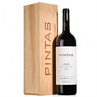 Pintas Grande Formato Red